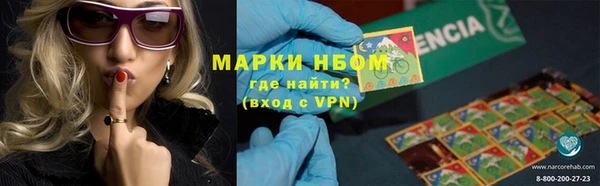 МДПВ Богородск