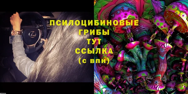 МДПВ Богородск